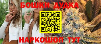 прущие крисы Будённовск